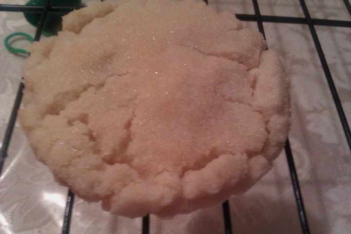 sugar cookie